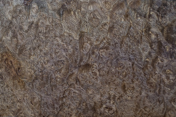 Nature salao burl wood striped for Picture prints interior decoration car, Exotic wooden beautiful pattern for crafts or abstract art background texture