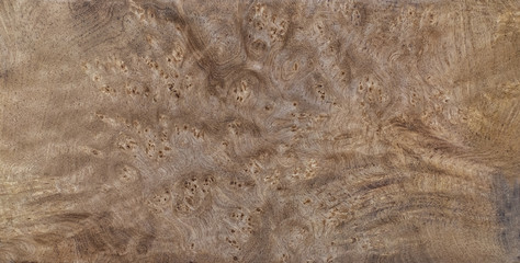 Nature salao burl wood striped for Picture prints interior decoration car, Exotic wooden beautiful pattern for crafts or abstract art background texture