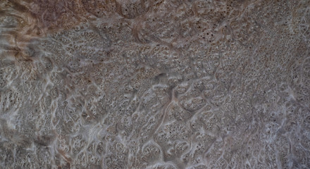 Nature salao burl wood striped for Picture prints interior decoration car, Exotic wooden beautiful pattern for crafts or abstract art background texture