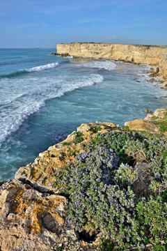 Rocky coast at Mari Ermi, Oristano, Sardinia, Italy, Europe