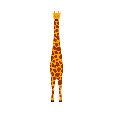 Giraffe mammal vector icon front view. Animal character cute brown safari symbol. Africa yellow herbivore