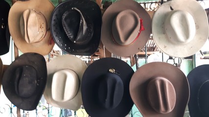 Chapéus