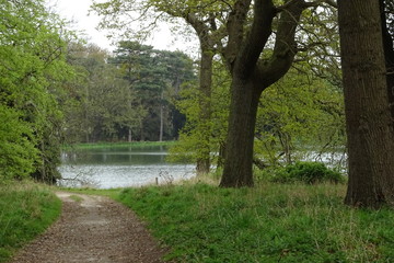 Lake on the Holkham Estate, North Norfolk, England, UK