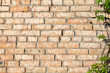 Old brick wall of brown color. Texture grunge background. Close up