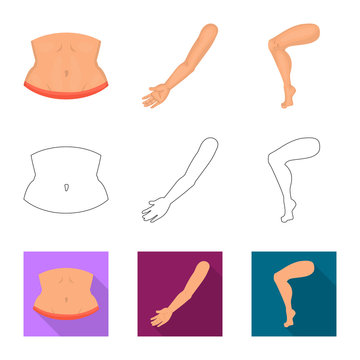 Isolated object of body and part sign. Collection of body and anatomy stock symbol for web.