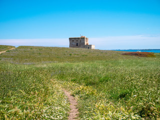Torre Guaceto surrounded by greenery with blue sea in background. Protected Marine Area. Coastal and marine nature reserve with a defensive tower of the 16th century. Brindisi, Puglia (Apulia), Italy