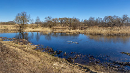 Beautiful spring landscape: blue river and huge trees on the shore. The state of nature on a Sunny day after melting snow and ice drift. Good place for fishing. Nature of Belarus in early spring