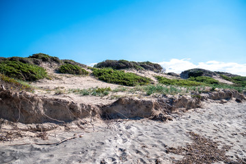sand dune  of the Protected Marine Area of Torre Guaceto. Coastal and marine nature reserve with a defensive tower of the 16th century. Brindisi, Puglia (Apulia), Italy