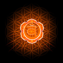 Circle mandala pattern. Swadhisthana chakra vector illustration.