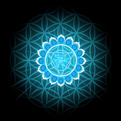 Circle mandala pattern. Vishuddha chakra vector illustration.