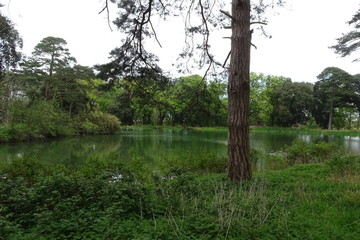 Holkham Estate country park, North Norfolk, England, UK