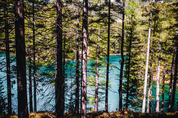 Green lake (Gr&uuml;ner see) through the woods in Bruck an der Mur, Styria, Austria