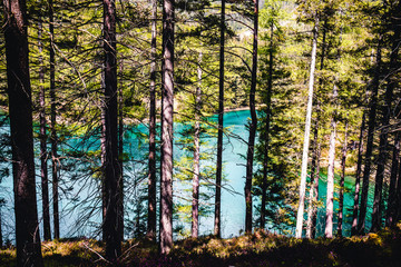 Green lake (Grüner see) through the woods in Bruck an der Mur, Styria, Austria