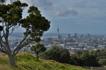Mount Eden trees and view to Auckland City
