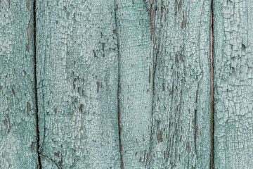 Fototapeta na wymiar Cracked weathered green painted wooden board texture.