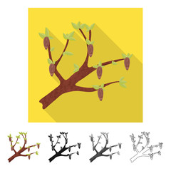 Vector illustration of tree and chocolate  logo. Set of tree and plantation stock symbol for web.