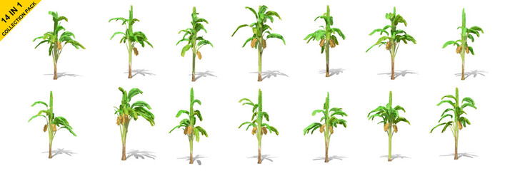 3D rendering - 14 in 1 collection of banana trees isolated over a white background use for natural poster or  wallpaper design, 3D illustration Design.
