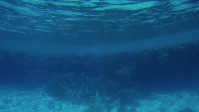 4k slow motion video of camera moving over coral reef on the sandy sea bottom
