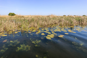 Danube Delta, Romania
