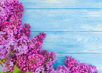 Obraz premium beautiful lilac flower on blue wooden background frame