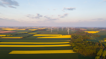 Pole rzepaku- energia odnawialnia © BlackMediaHouse