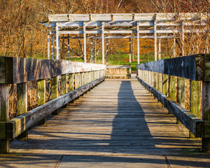 low angle view of weathered wooden boardwalk and pergola