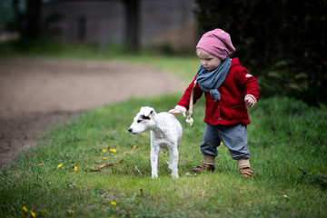 Parson Russel Terrier Hündin mit Kleinkind