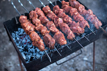 roasted meat, skewers with onions on skewers on the grill
