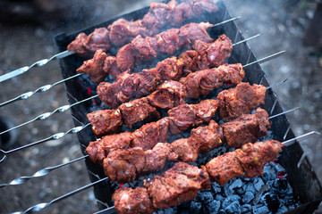 roasted meat, skewers with onions on skewers on the grill