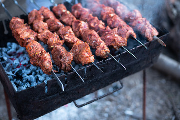 roasted meat, skewers with onions on skewers on the grill