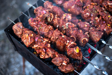 roasted meat, skewers with onions on skewers on the grill