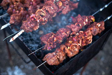 roasted meat, skewers with onions on skewers on the grill