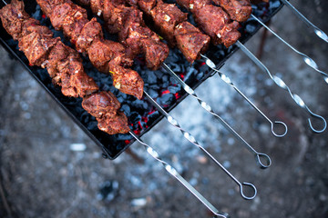 roasted meat, skewers with onions on skewers on the grill