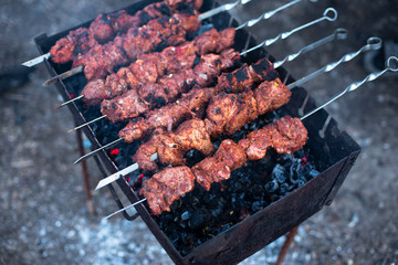 roasted meat, skewers with onions on skewers on the grill