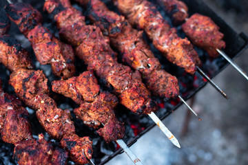 roasted meat, skewers with onions on skewers on the grill