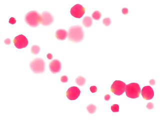 Pink rose petals falling vector valentine background.