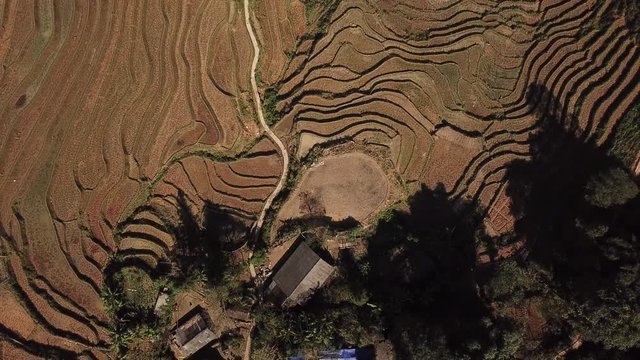 Top down aerial shot presenting the agricultural problems in Vietnam, such as lack of space, loss in yield, overuse of pesticides and a high percentage of the workers being unskilled.