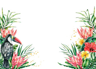 Watercolor tropical toucan and flowers banner. Hand painted bird, protea, hibiscus and plumeria isolated on white background. Nature botanical illustration for design, print. Realistic delicate plant.