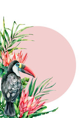 Watercolor tropical protea and toucan card. Hand painted bird and flowers isolated on white background. Nature botanical illustration for design, print. Realistic delicate plant. © yuliya_derbisheva