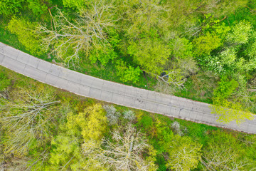 Aerial top down view on old broken concrete road going through super green deciduous forest at the end of spring