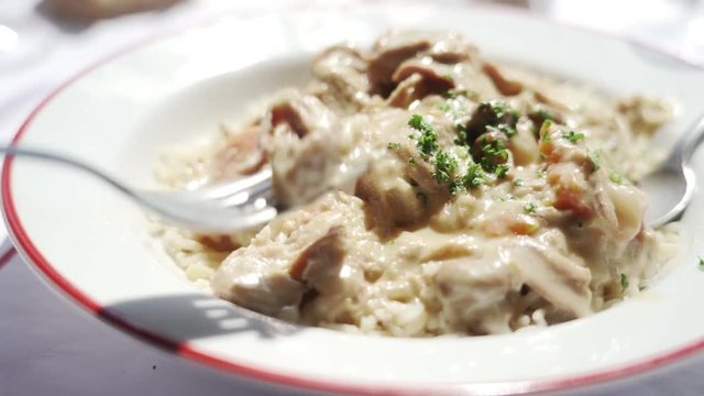 Close Up of Traditional French Dish Blanquette de Veau Veal Stew