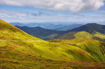 Beautiful view of the tranquil alpine landscape with green meadows, trees, dark low clouds on the mountains in the background on a sunny summer day.