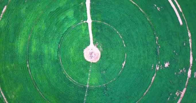 Circular green irrigation patches for agriculture in the Negev desert of Israel. Aerial above agricultural circle plantation in the middle of desert Israel.