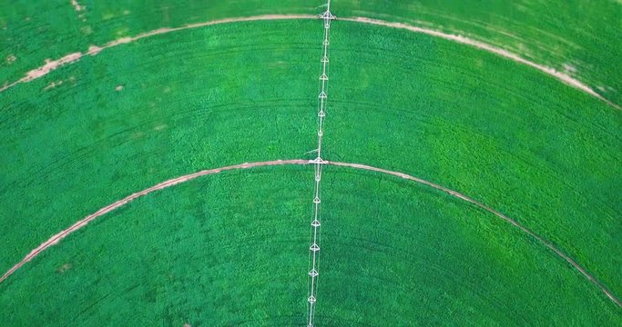 Circular green irrigation patches for agriculture in the Negev desert of Israel. Aerial above agricultural circle plantation in the middle of desert Israel.