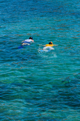 People Swimming In The Sea