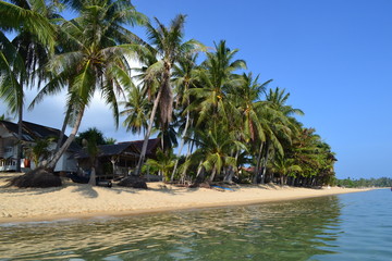 Beautiful shore of a tropical island with palm trees and blue sky.
