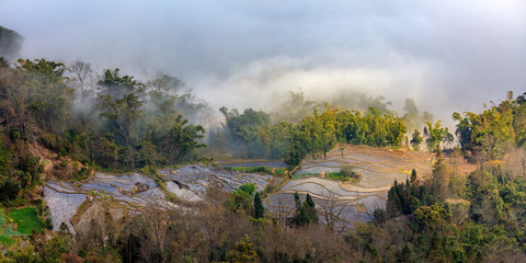 Naklejka premium Samaba Rice Terrace Fields in Honghe County - Baohua township, Yunnan Province China. Sama Dam Multi-Color Terraces - grass, mud construction layered terraces filled with water. Hani and Yi Culture