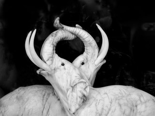 Elefantes decorativos © Monica Almassio