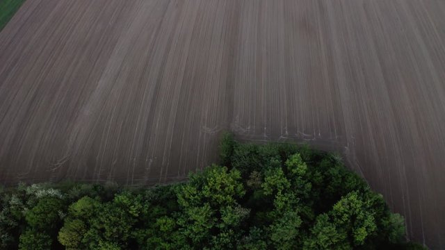 Cinematic footage of beautiful green forest and agricultural field with slow camera curve.Drone footage in Bosnia and Herzegovina, Brcko district. Bird eye view of stunning flat land with green trees.