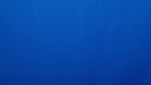 Beautiful under water video of dark blue sea water and sun ray shining through surface